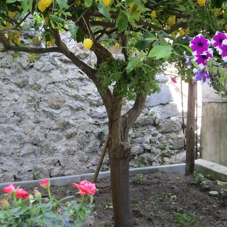 Profumo Di Limone Apartamento Scala