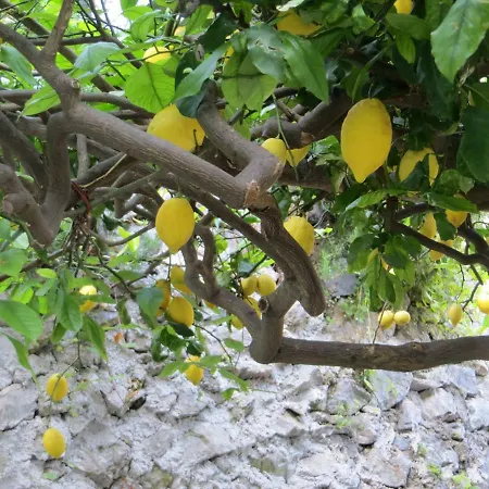 Apartamento Profumo Di Limone Scala